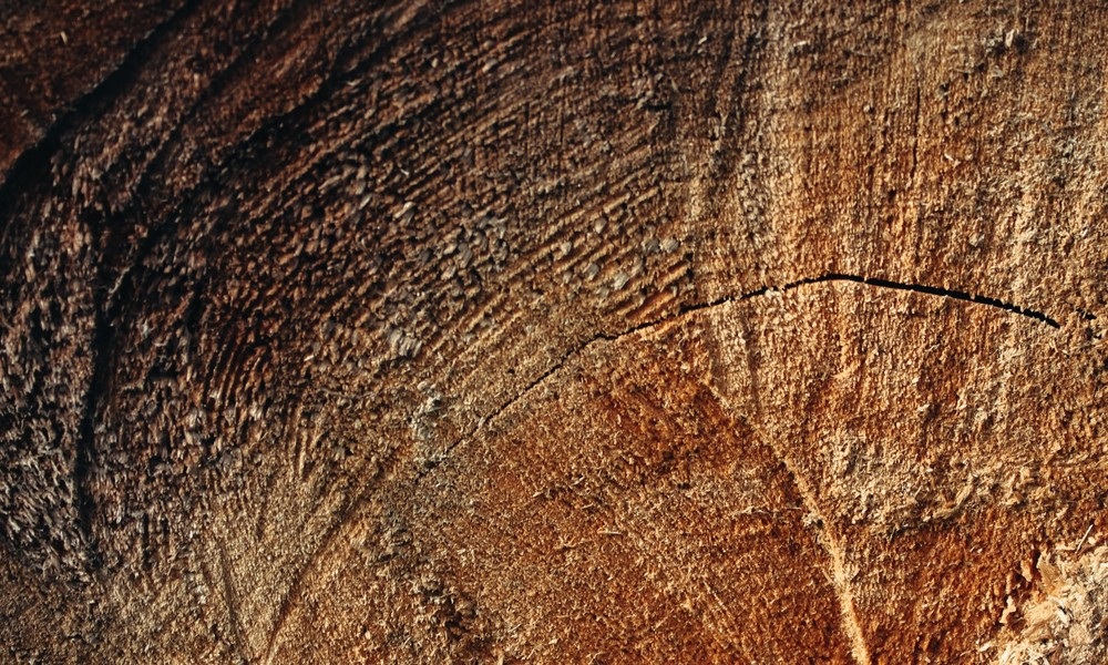 Textura de imbuia, uma das madeiras brasileiras para cabo de faca mais valorizadas